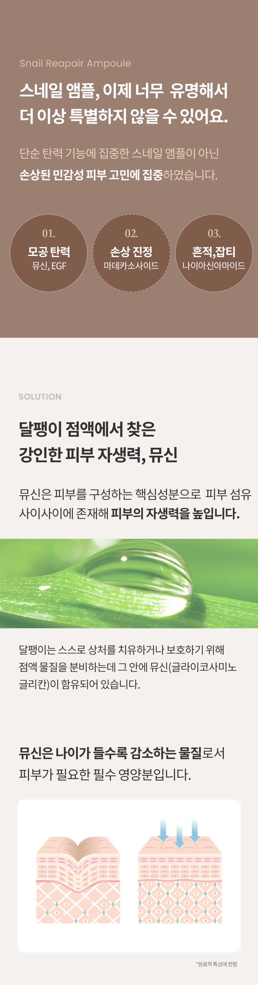 /_Product/202509161314474000.jpg